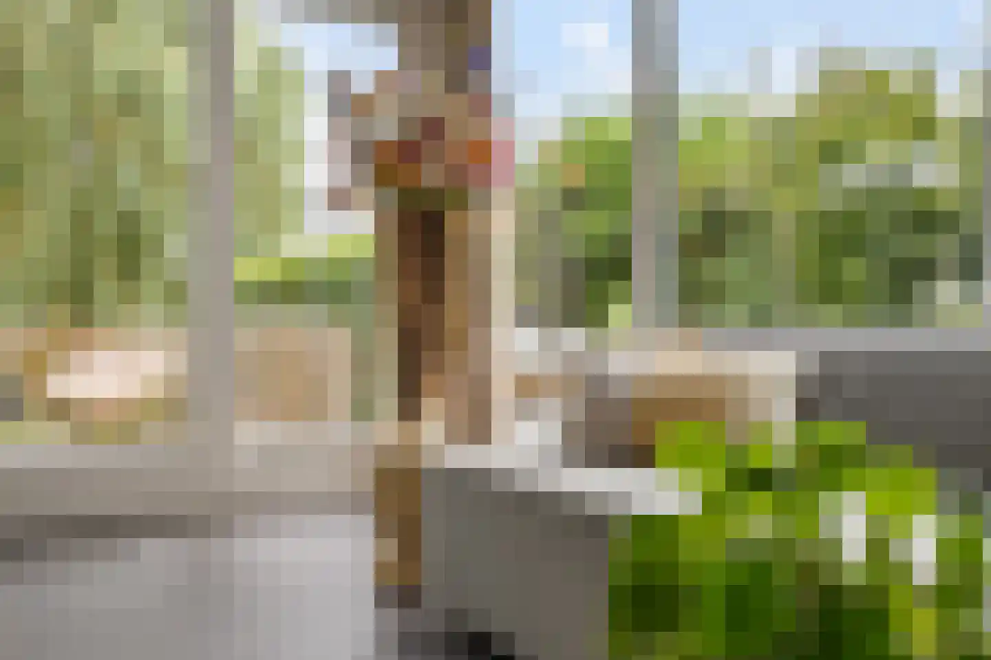 De Blei 4 Grou thumbnail 20