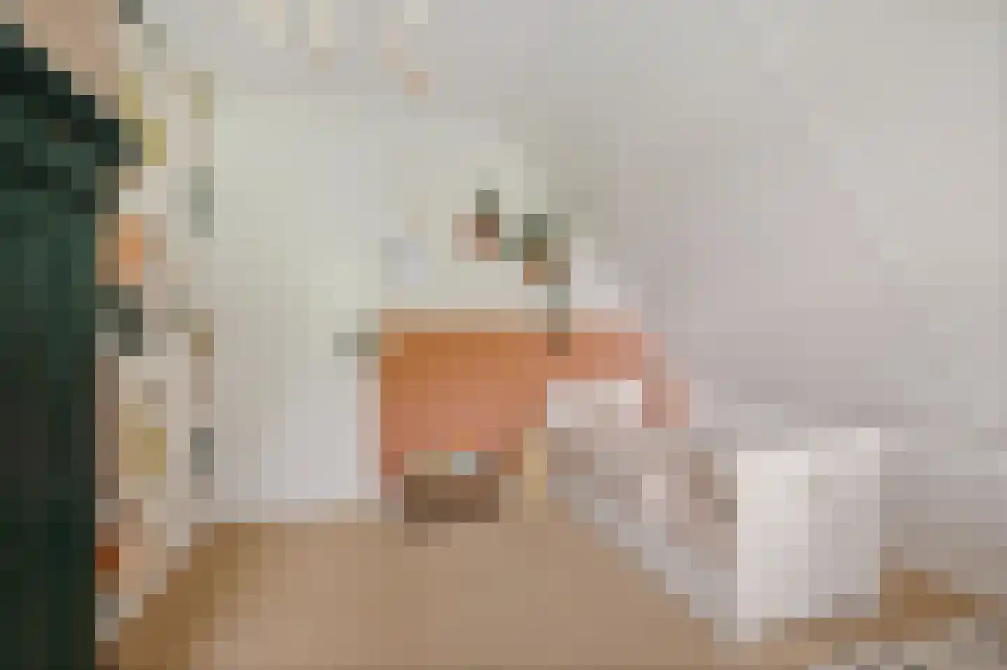 De Blei 4 Grou thumbnail 29