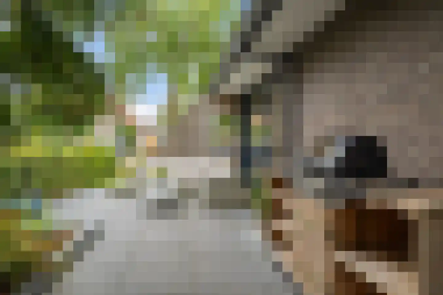 De Blei 4 Grou thumbnail 37