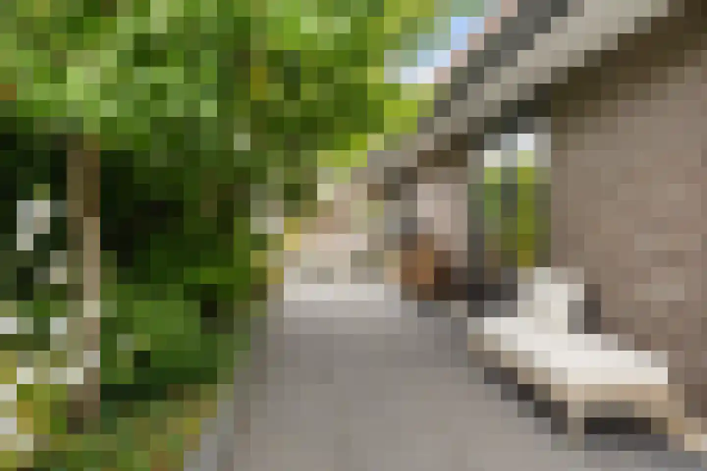 De Blei 4 Grou thumbnail 38