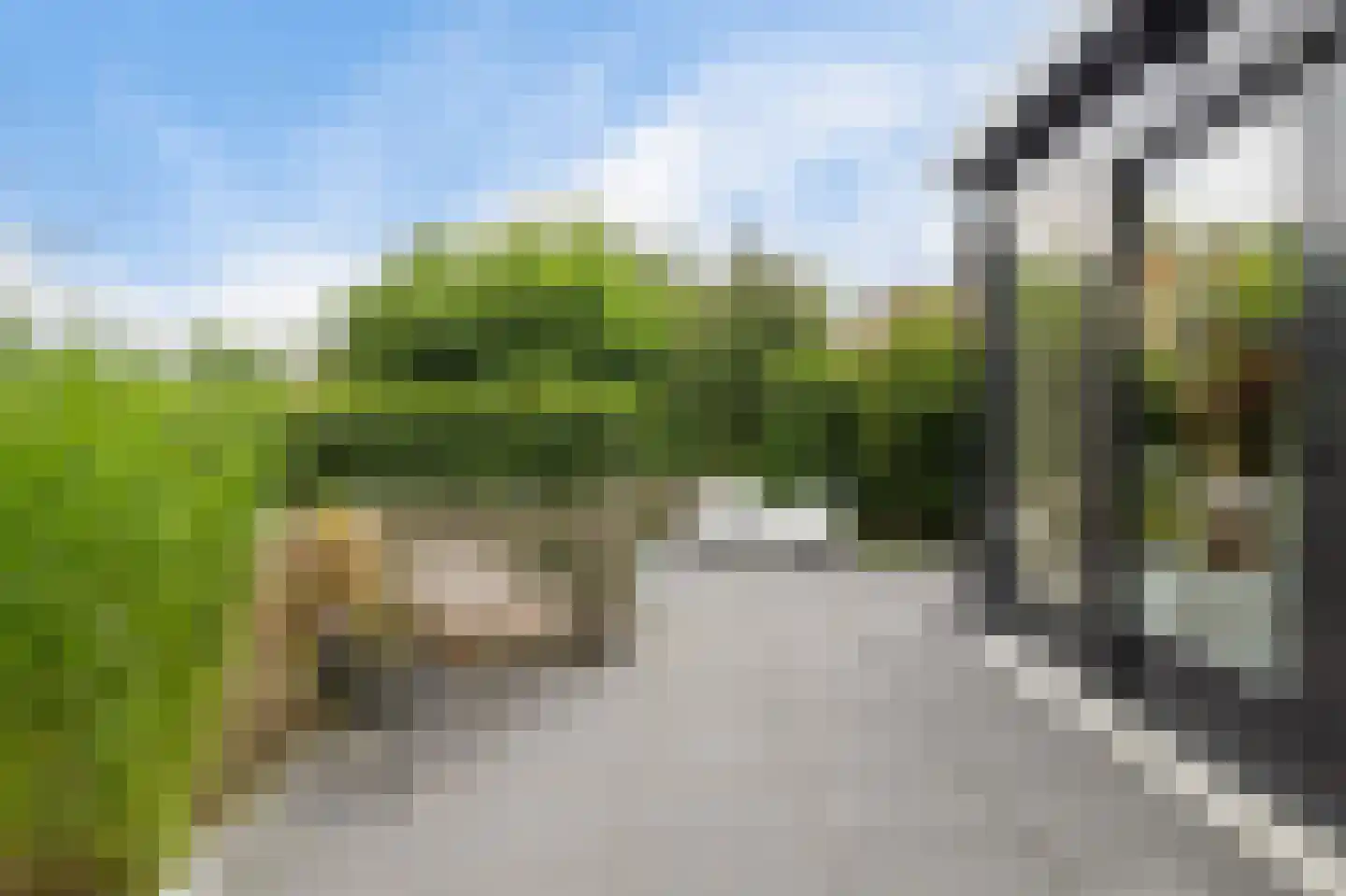 De Blei 4 Grou thumbnail 40