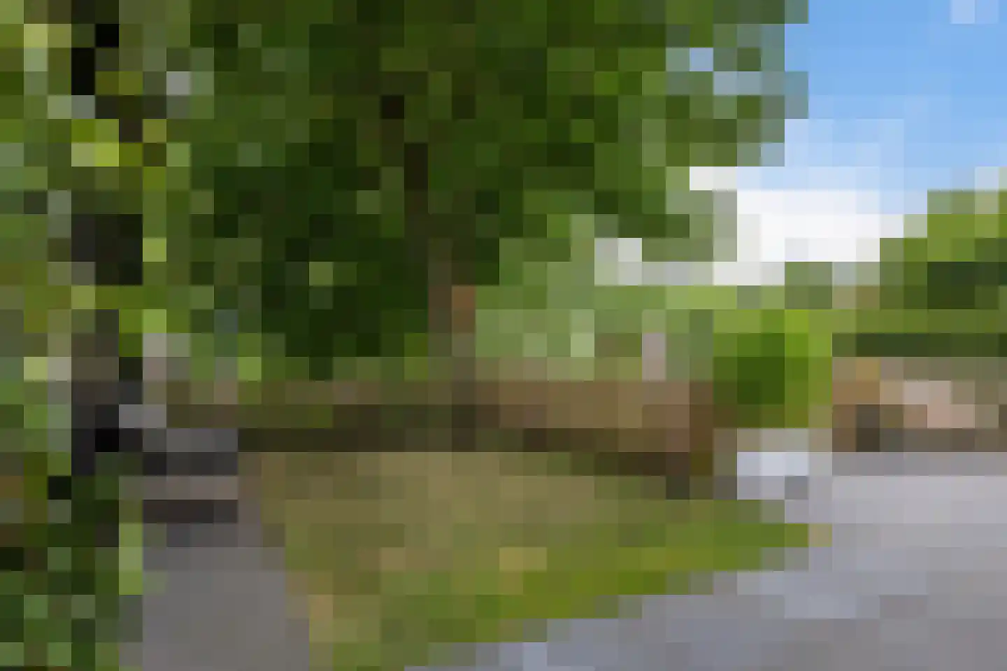 De Blei 4 Grou thumbnail 41