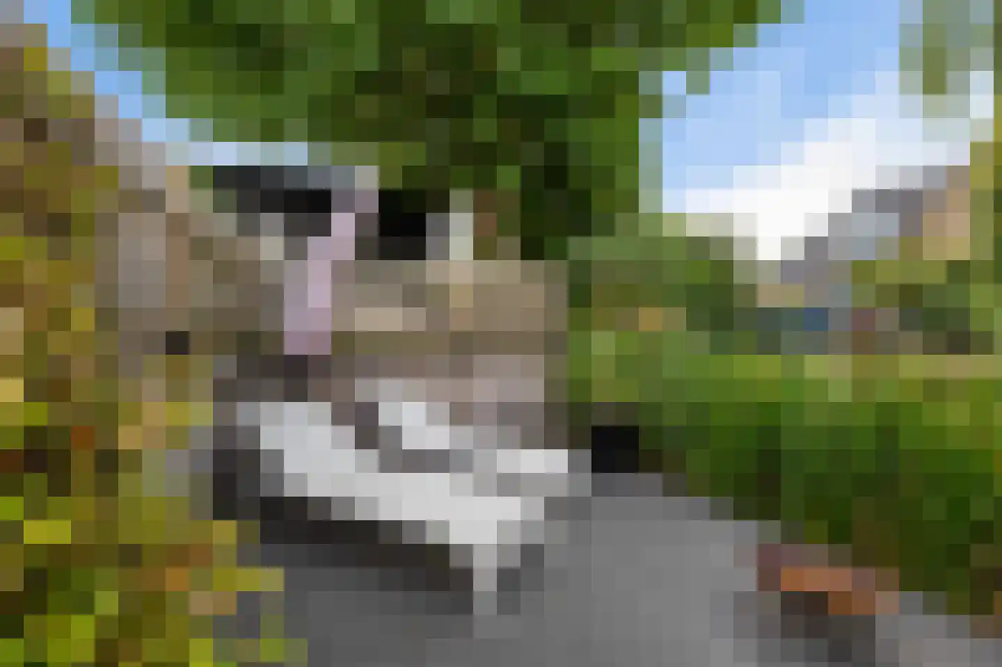 De Blei 4 Grou thumbnail 43
