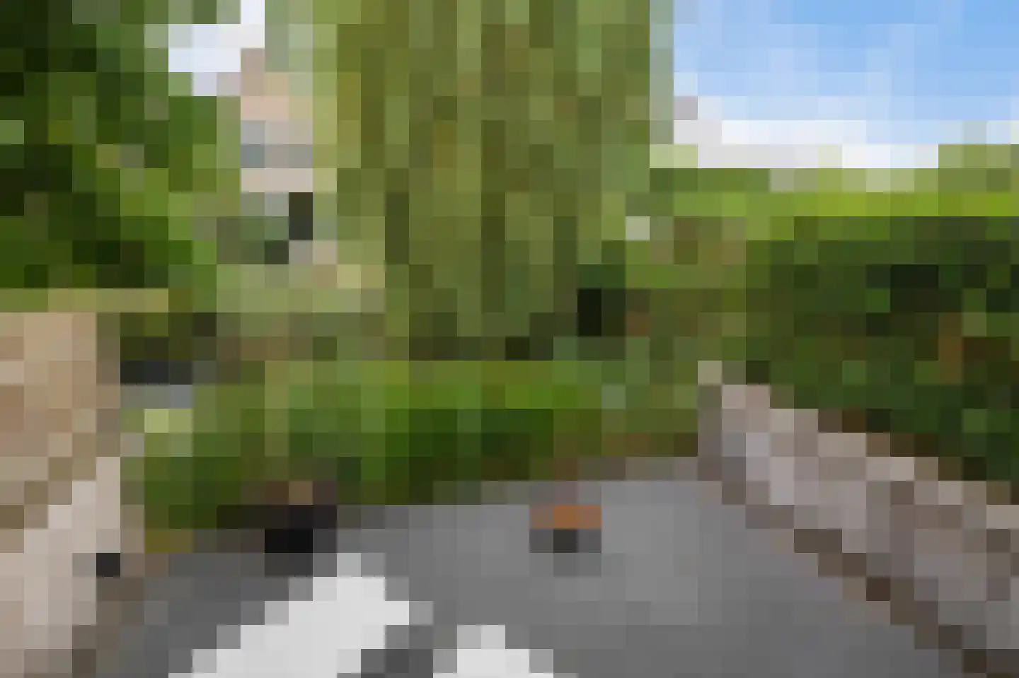 De Blei 4 Grou thumbnail 44
