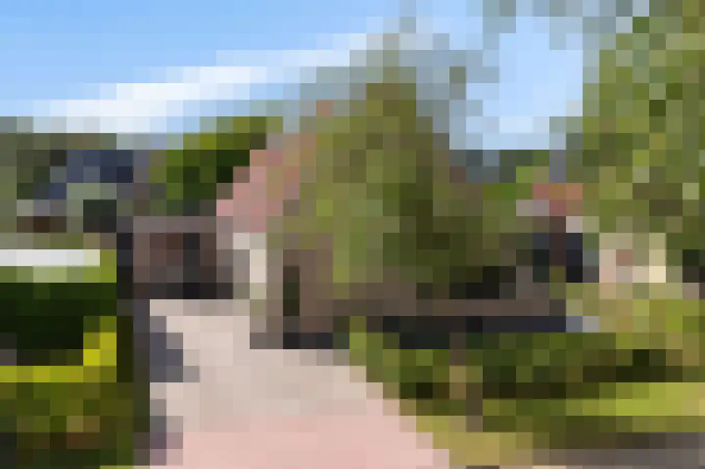 De Blei 4 Grou thumbnail 48