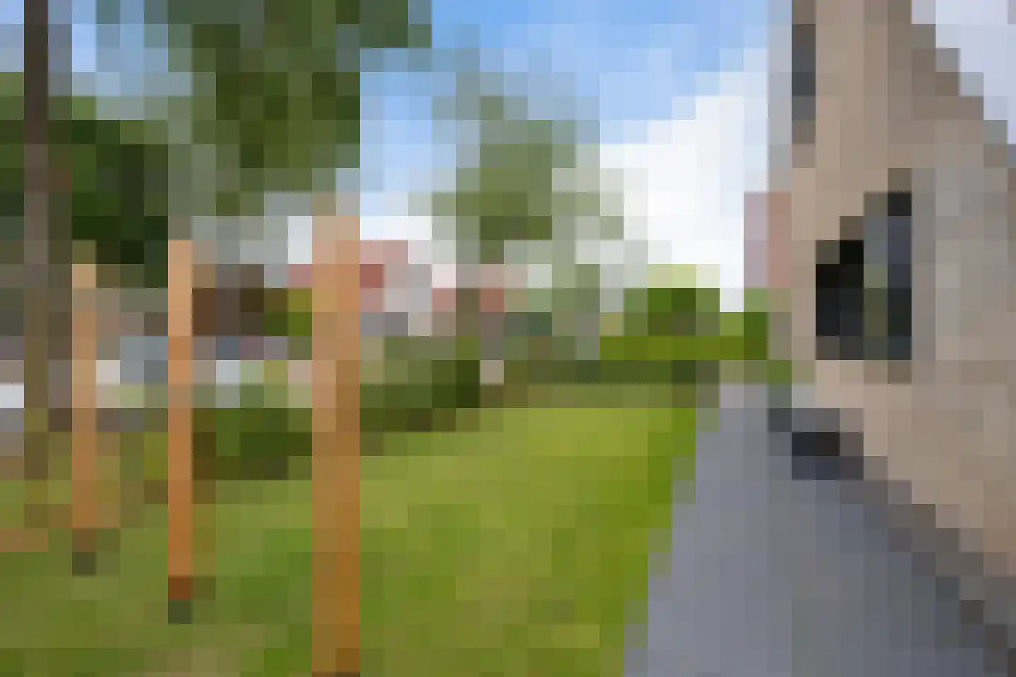 De Blei 4 Grou thumbnail 49