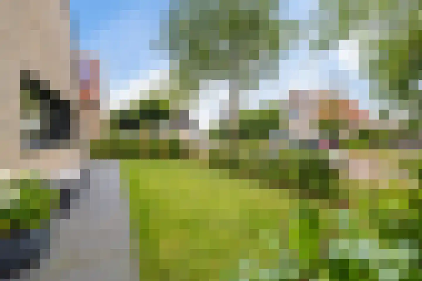 De Blei 4 Grou thumbnail 51
