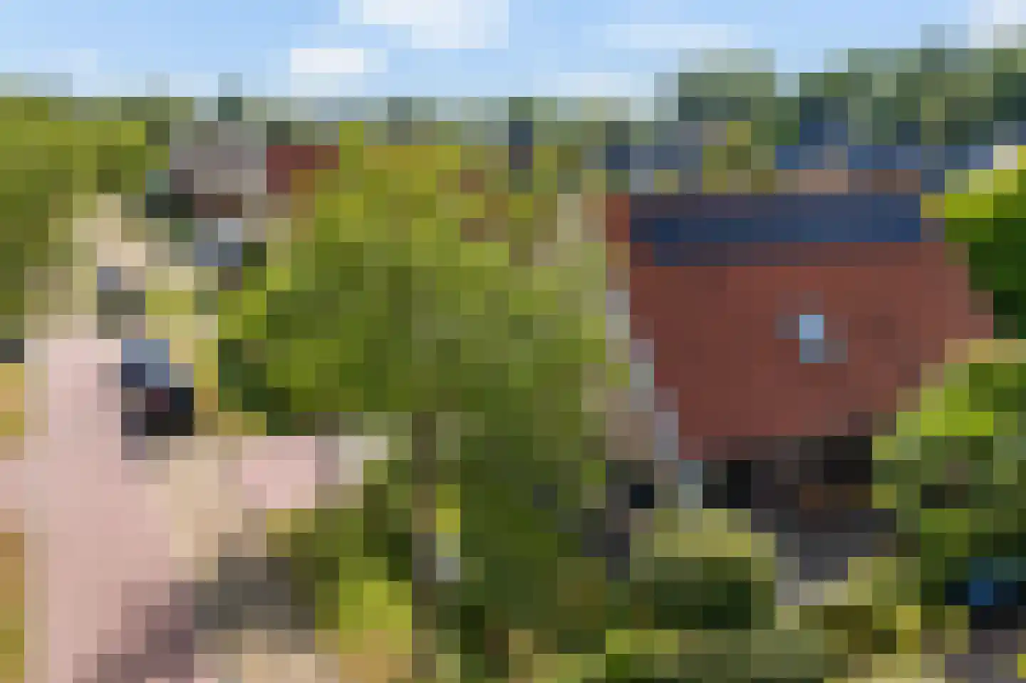 De Blei 4 Grou thumbnail 52