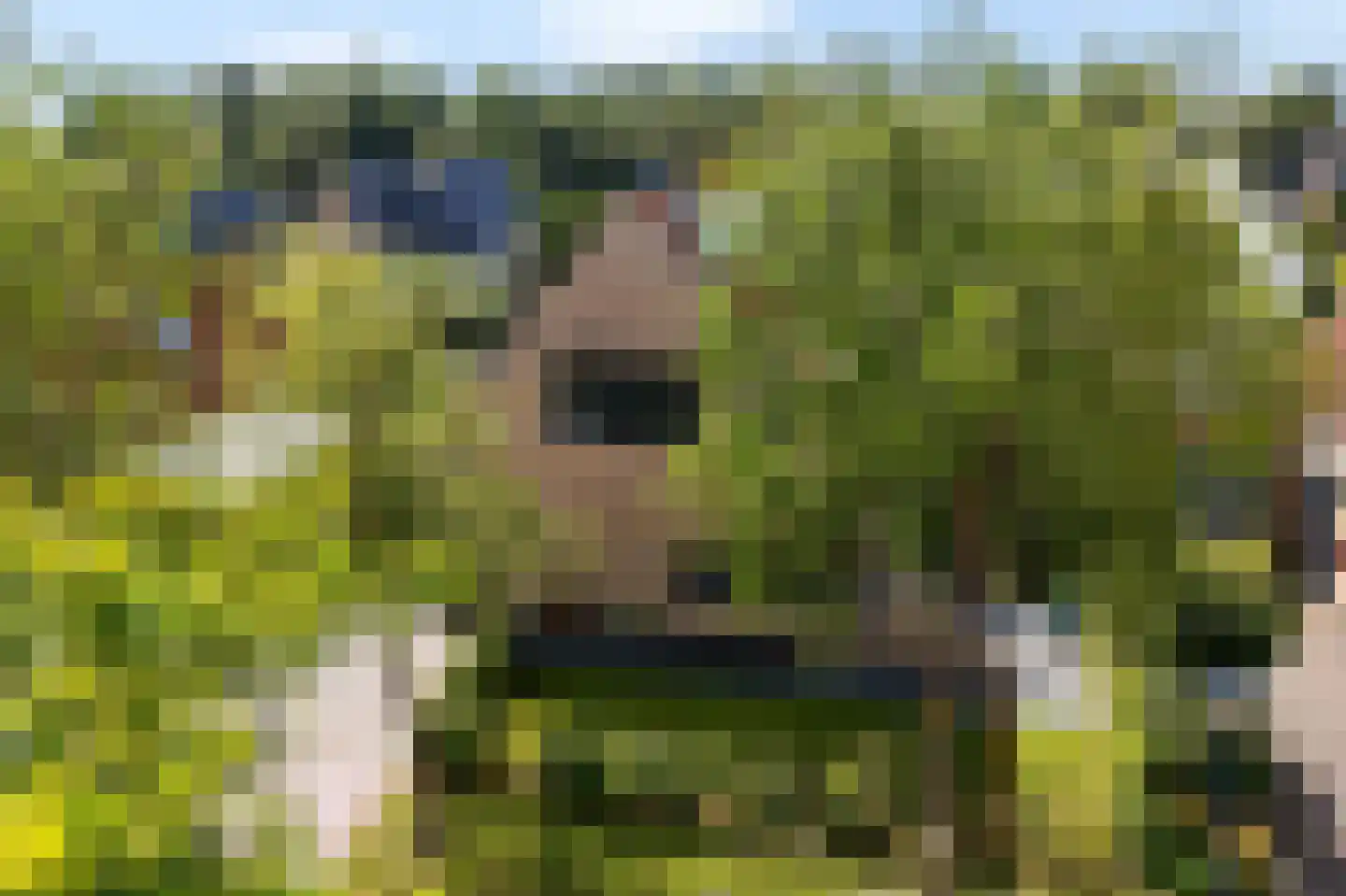 De Blei 4 Grou thumbnail 53