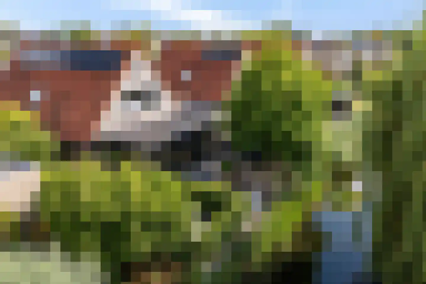 De Blei 4 Grou thumbnail 54