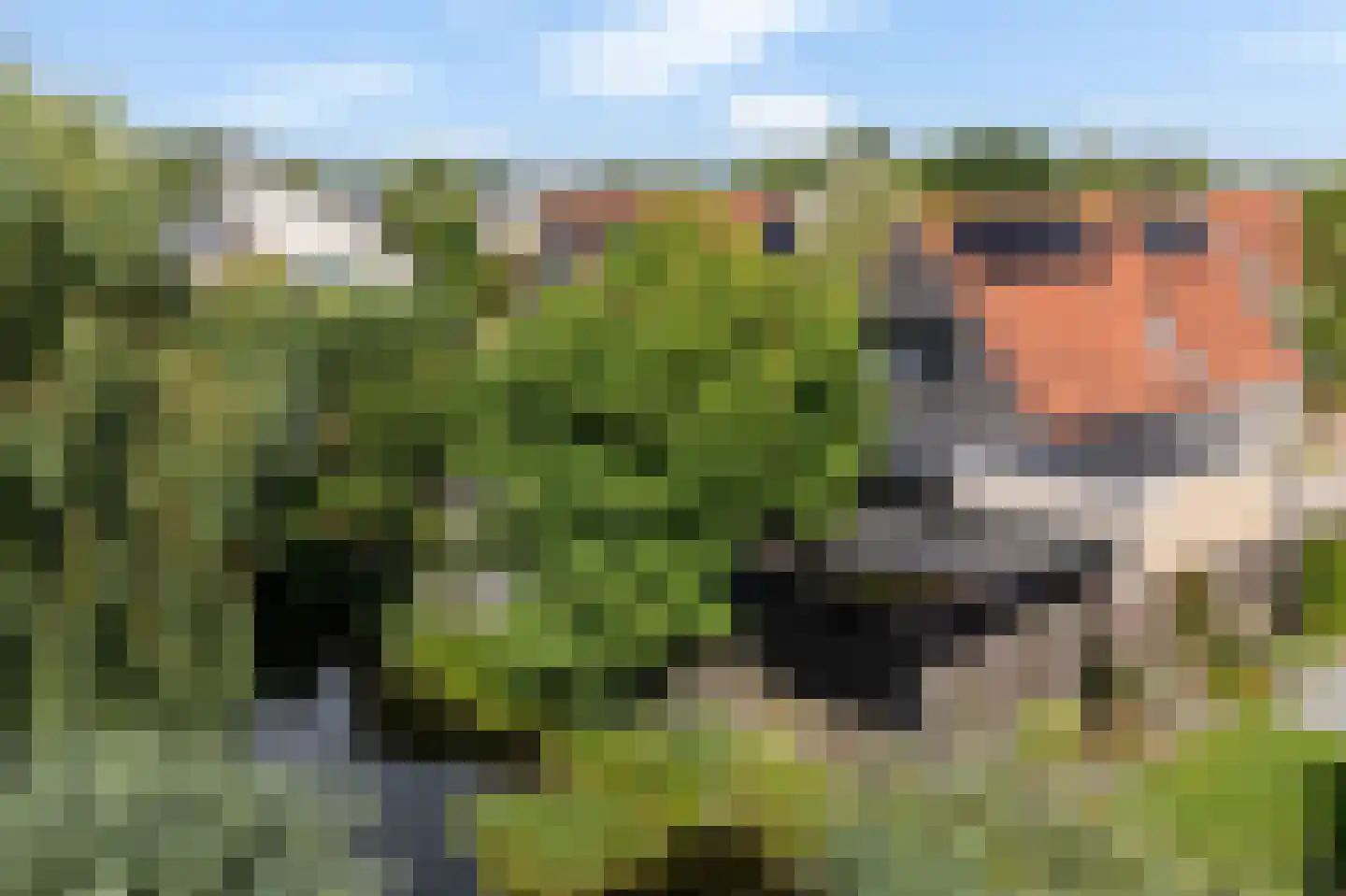 De Blei 4 Grou thumbnail 55