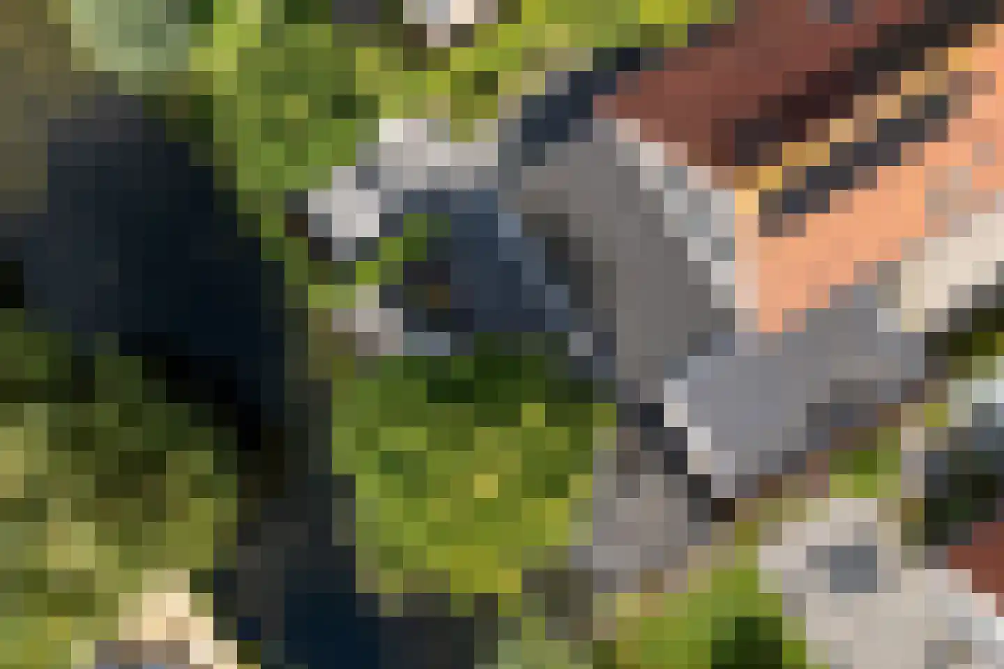 De Blei 4 Grou thumbnail 56
