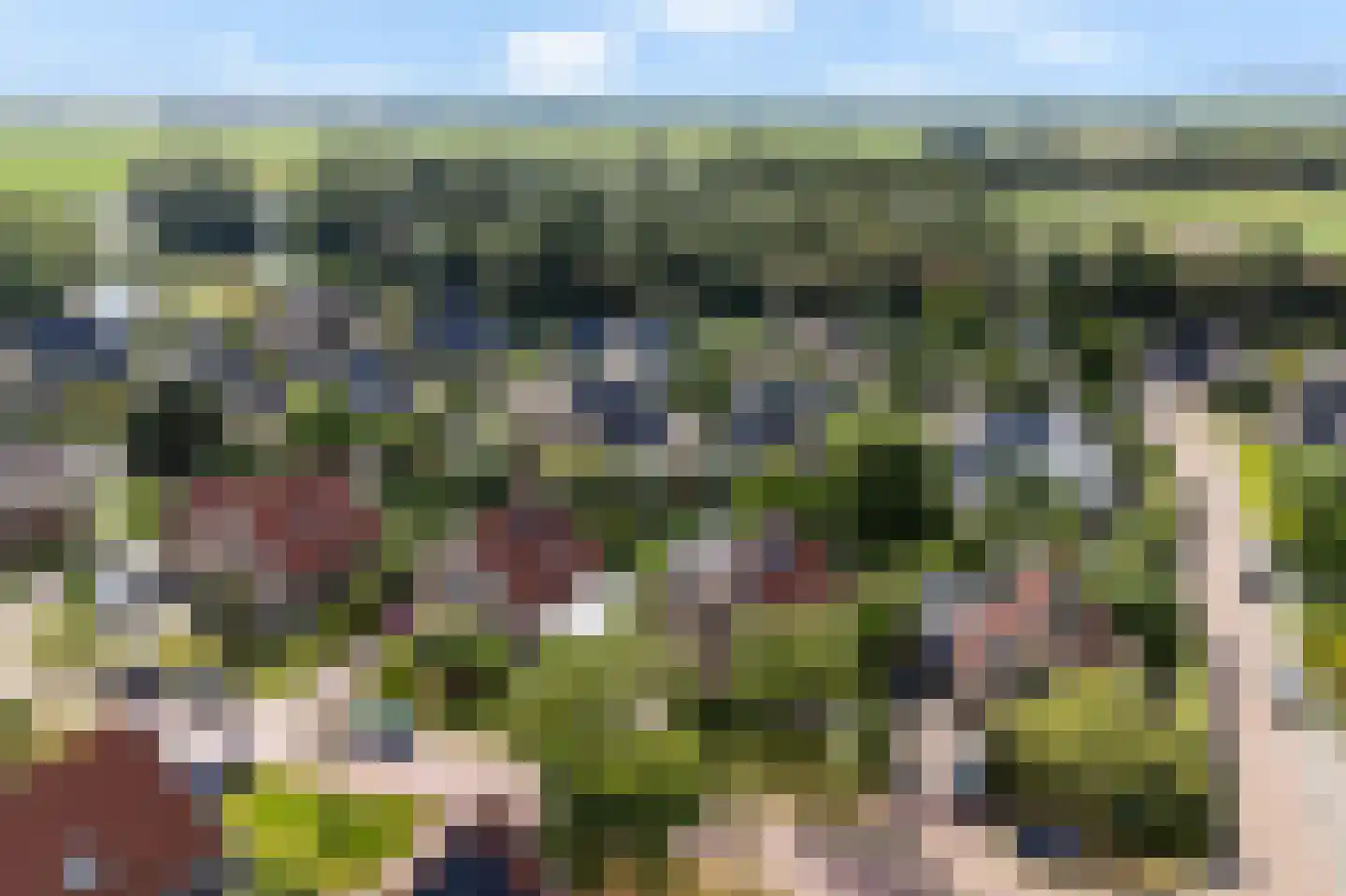 De Blei 4 Grou thumbnail 57
