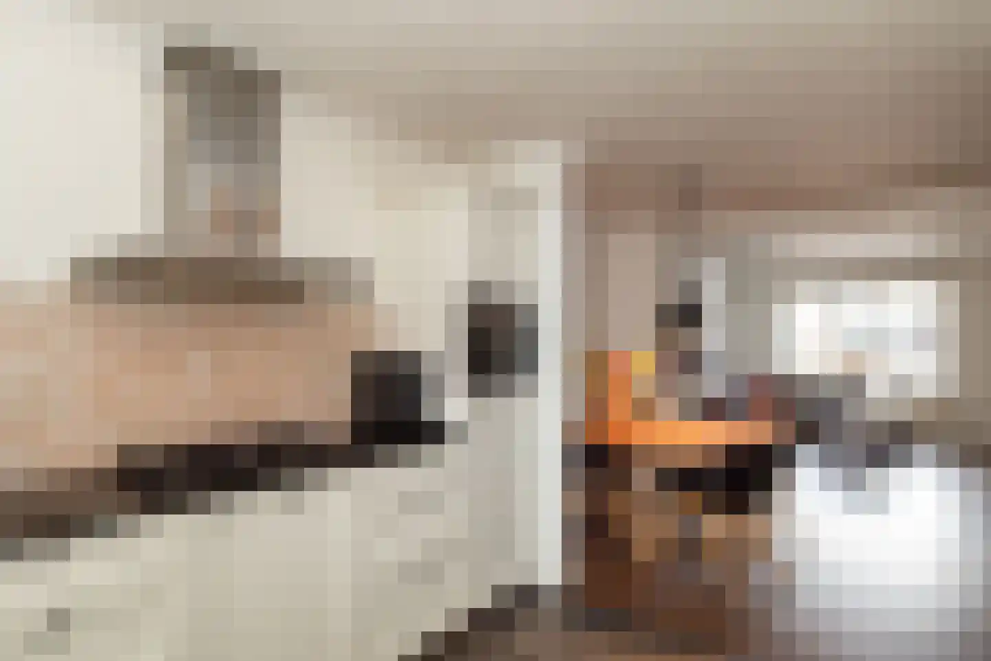De Bleijdestraat 26 Rijssen thumbnail 11