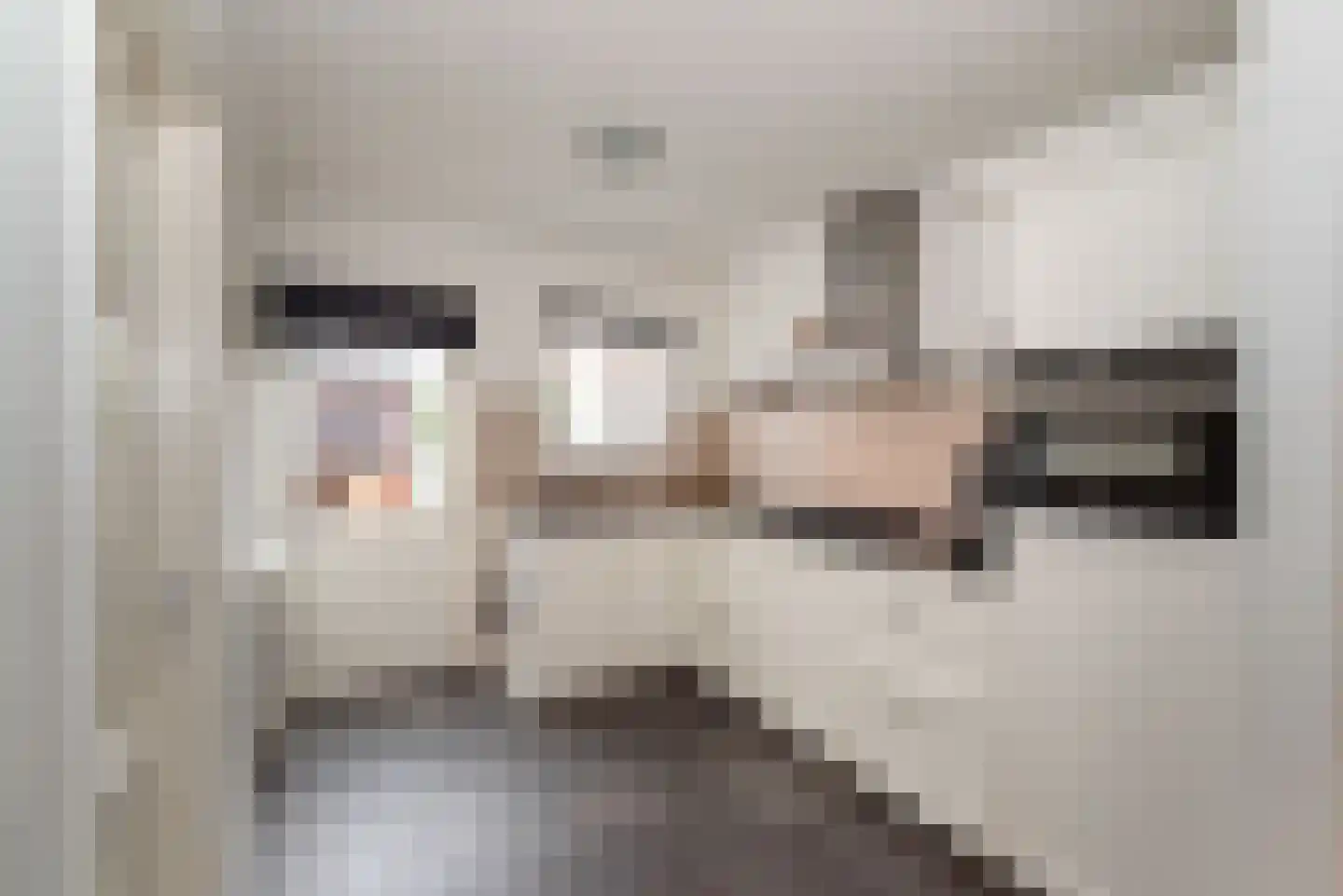 De Bleijdestraat 26 Rijssen thumbnail 12