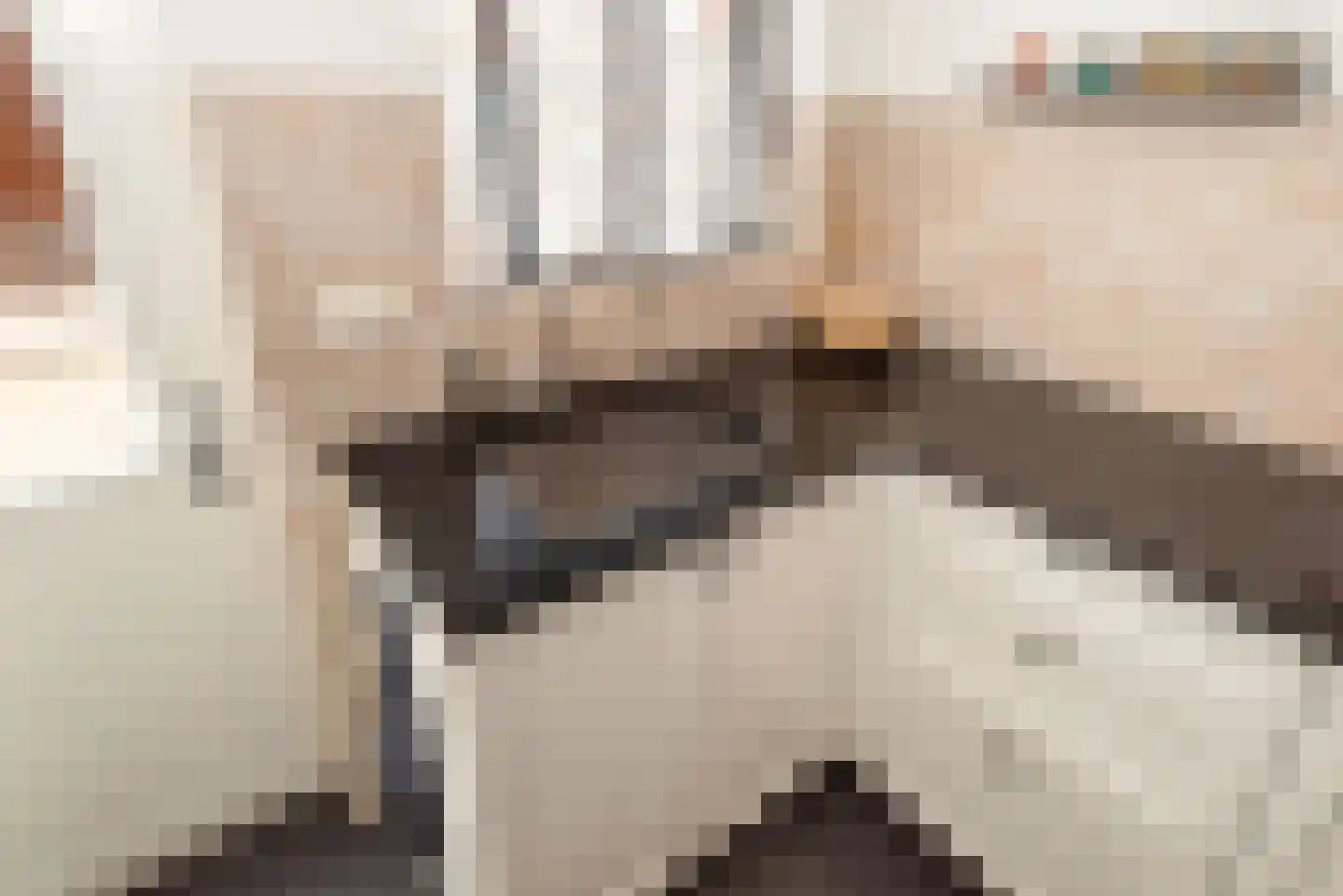 De Bleijdestraat 26 Rijssen thumbnail 13