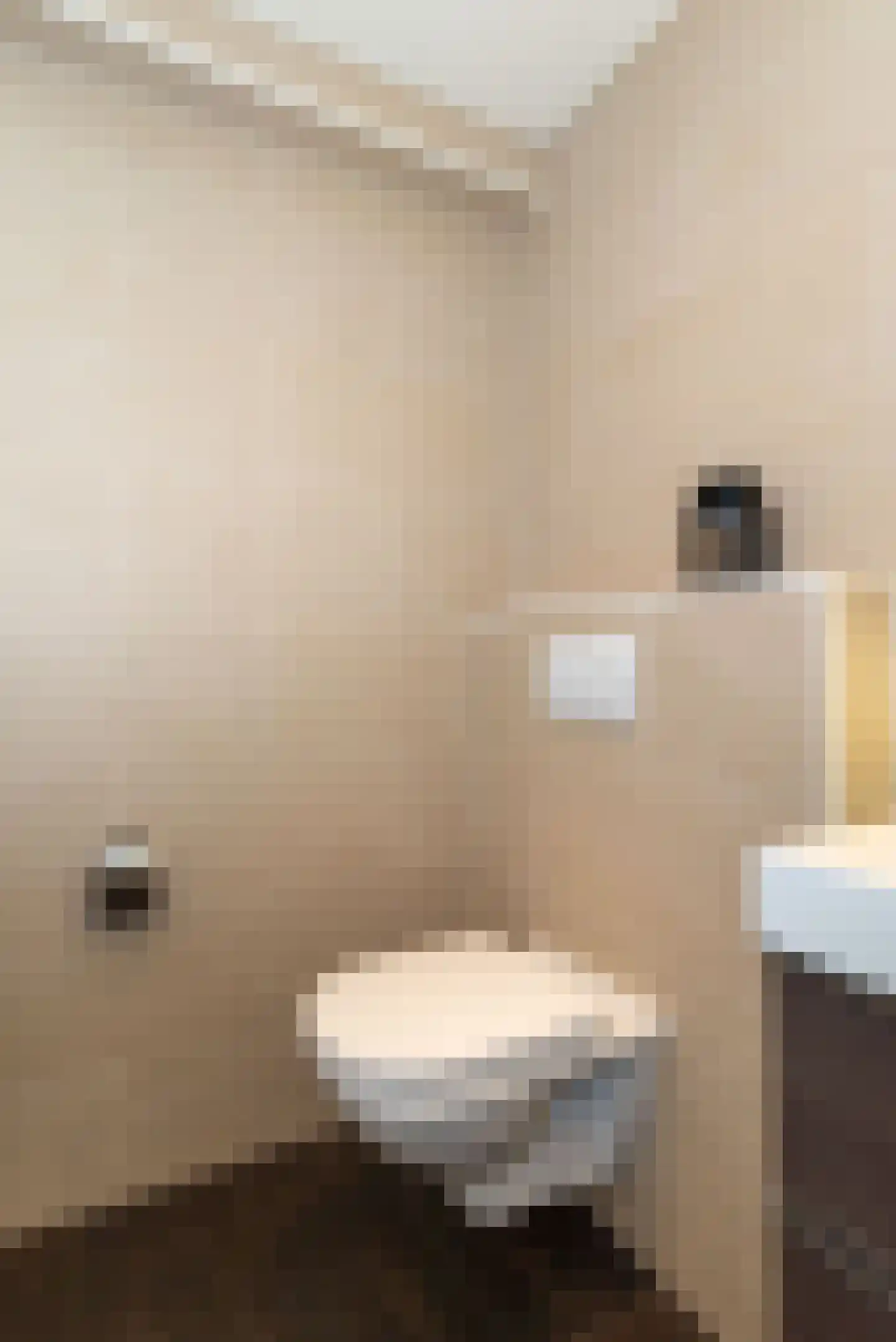 De Bleijdestraat 26 Rijssen thumbnail 21