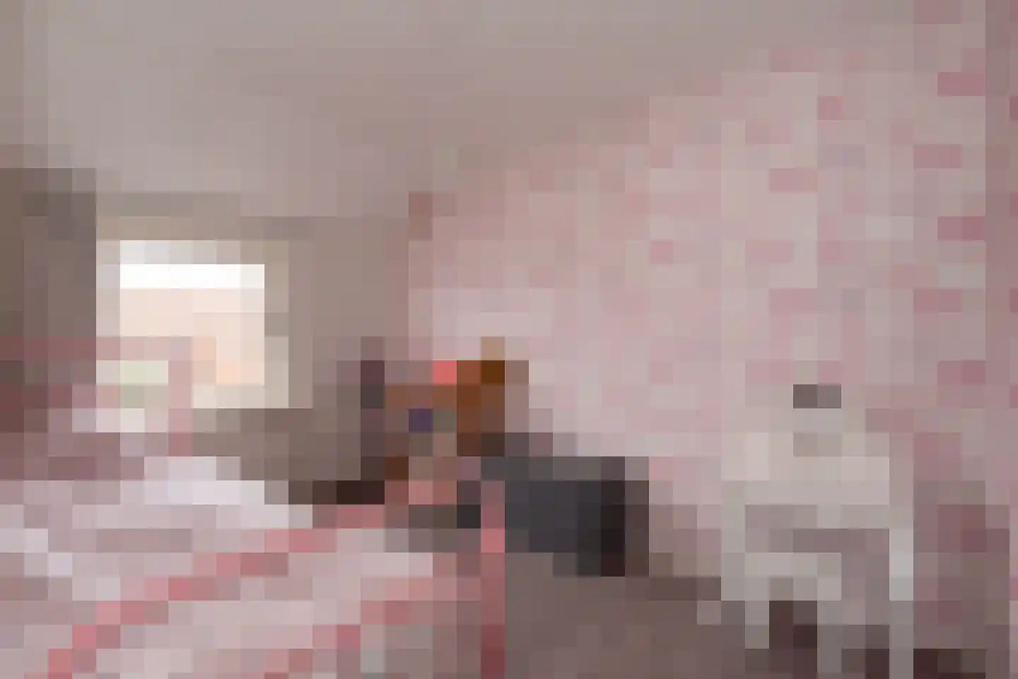 De Bleijdestraat 26 Rijssen thumbnail 30