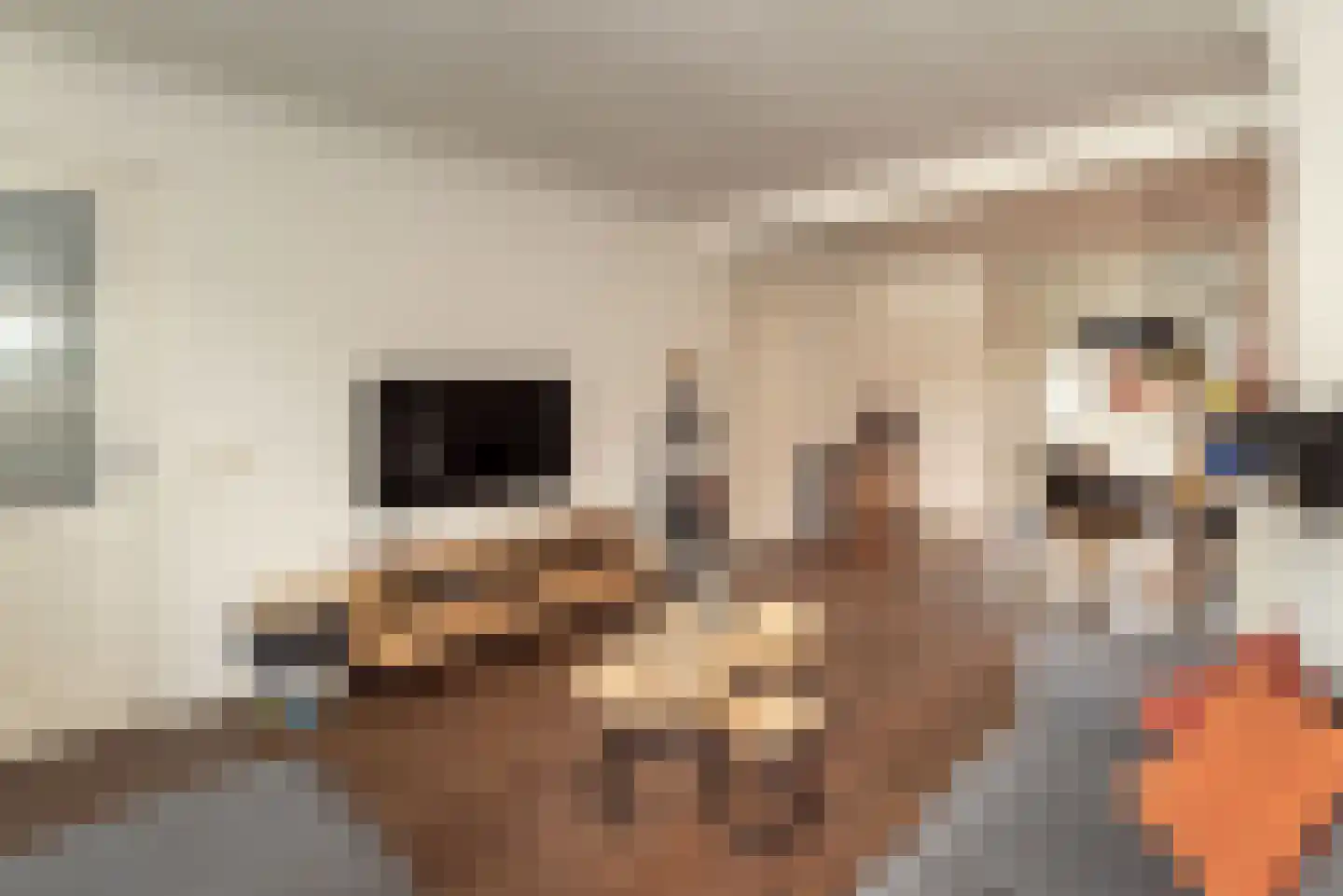 De Bleijdestraat 26 Rijssen thumbnail 7