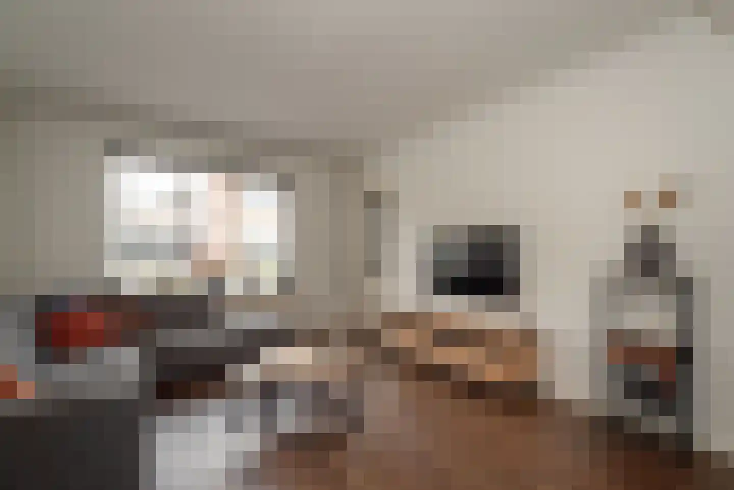 De Bleijdestraat 26 Rijssen thumbnail 8