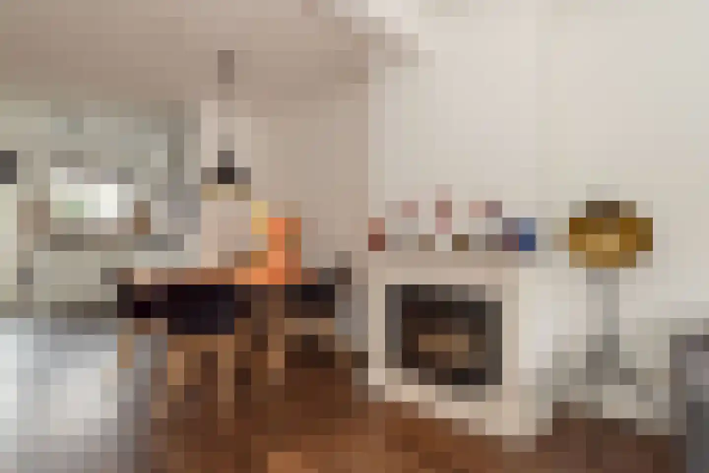 De Bleijdestraat 26 Rijssen thumbnail 9