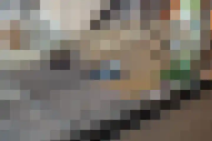 De Bleken 16 Rosmalen thumbnail 21