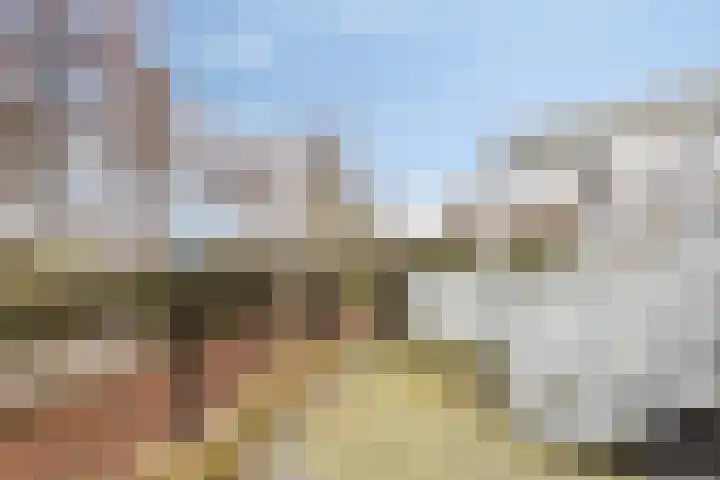 De Bleken 16 Rosmalen thumbnail 37