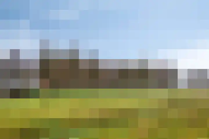 De Bleken 16 Rosmalen thumbnail 44
