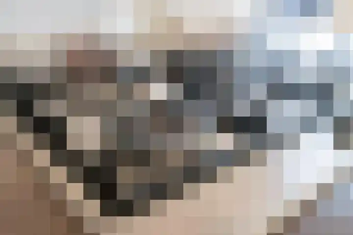 De Bleken 19 Rosmalen thumbnail 22