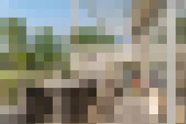 De Bleken 19 Rosmalen thumbnail 40