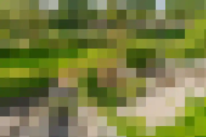 De Bleken 19 Rosmalen thumbnail 43