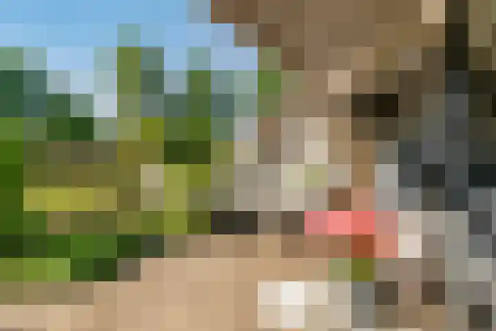 De Bleken 19 Rosmalen thumbnail 44