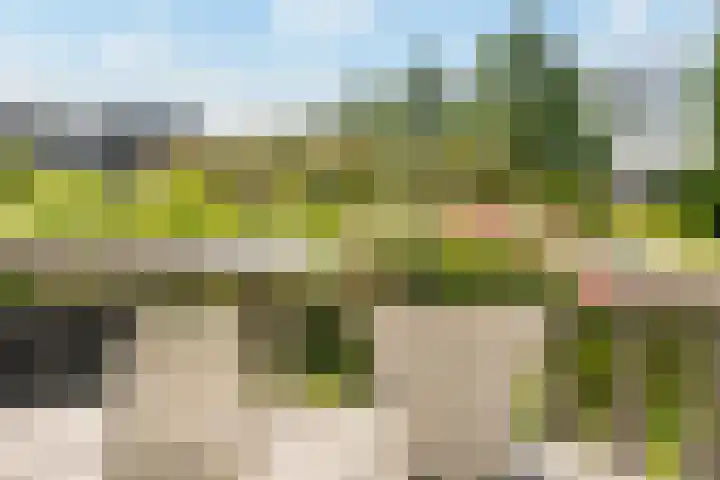 De Bleken 19 Rosmalen thumbnail 45