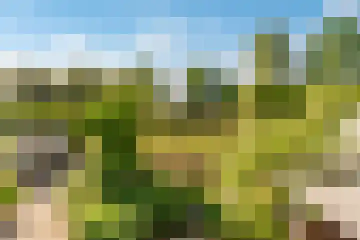 De Bleken 19 Rosmalen thumbnail 46