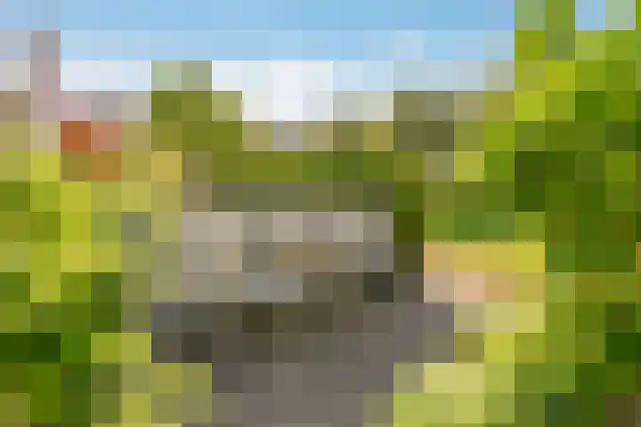 De Bleken 19 Rosmalen thumbnail 47