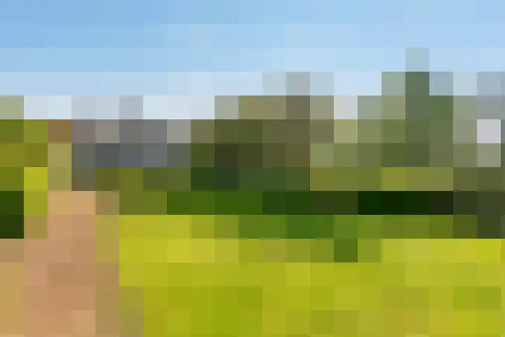 De Bleken 19 Rosmalen thumbnail 49