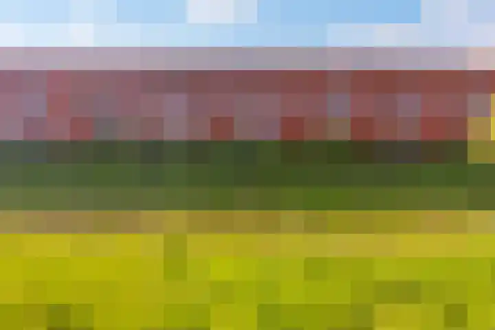 De Bleken 19 Rosmalen thumbnail 52