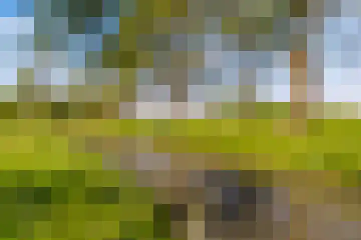De Bleken 19 Rosmalen thumbnail 53