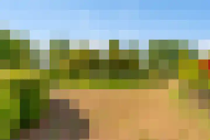 De Bleken 19 Rosmalen thumbnail 55