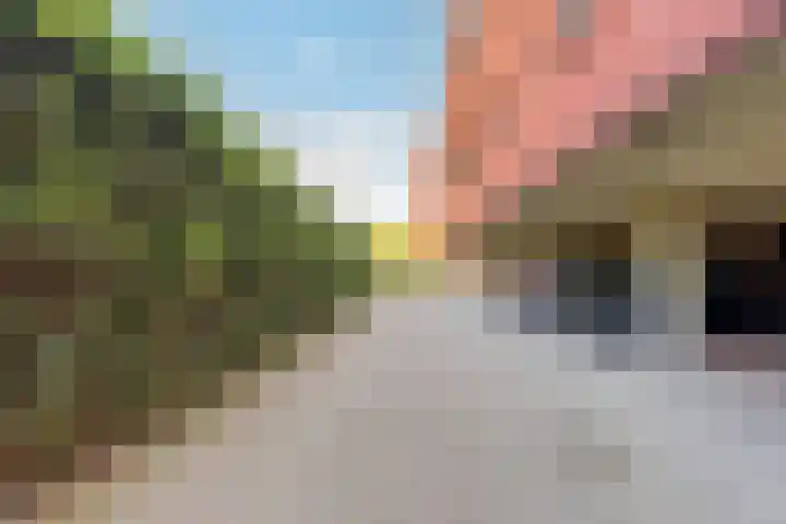 De Bleken 19 Rosmalen thumbnail 7