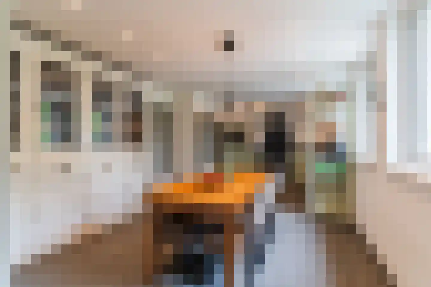 De Bleken 2 b Heeswijk-Dinther thumbnail 13