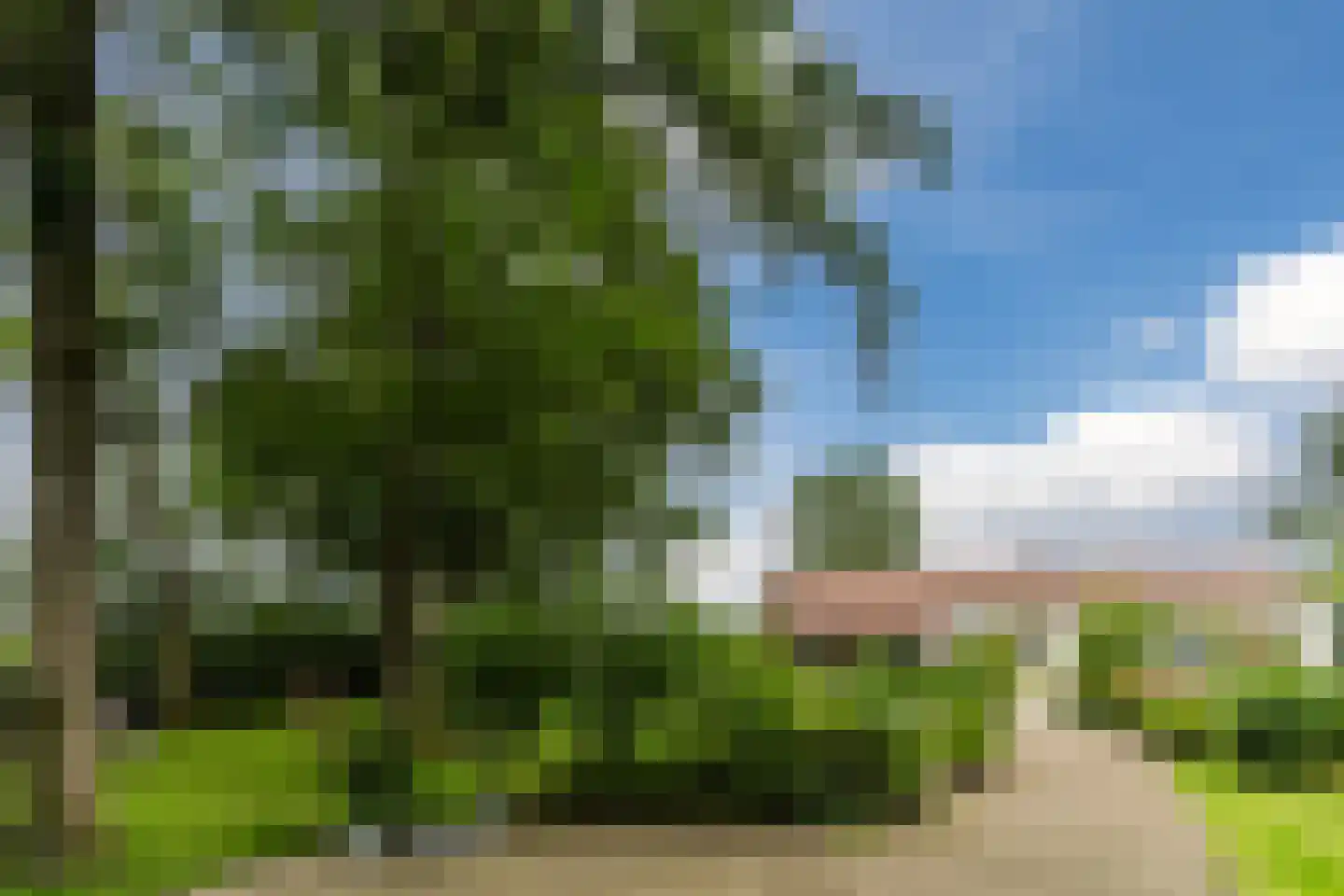 De Bleken 2 b Heeswijk-Dinther thumbnail 35