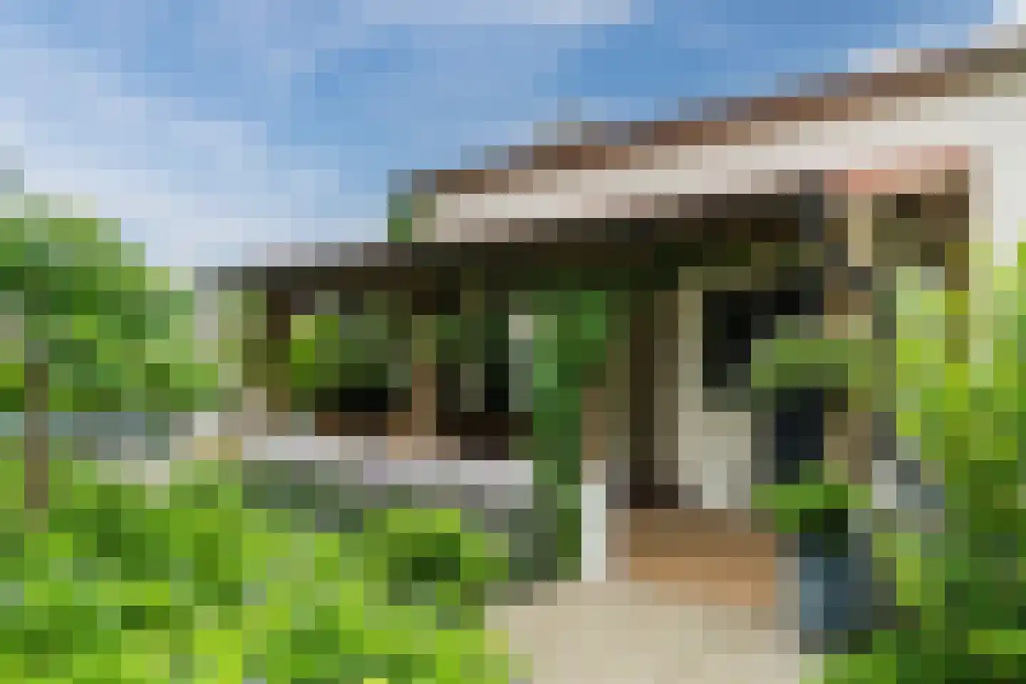 De Bleken 2 b Heeswijk-Dinther thumbnail 39