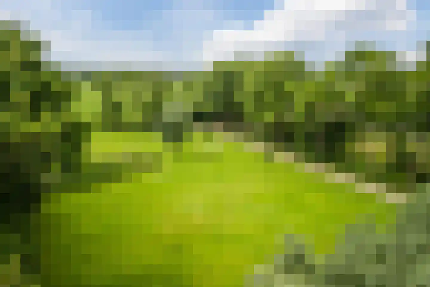De Bleken 2 b Heeswijk-Dinther thumbnail 4