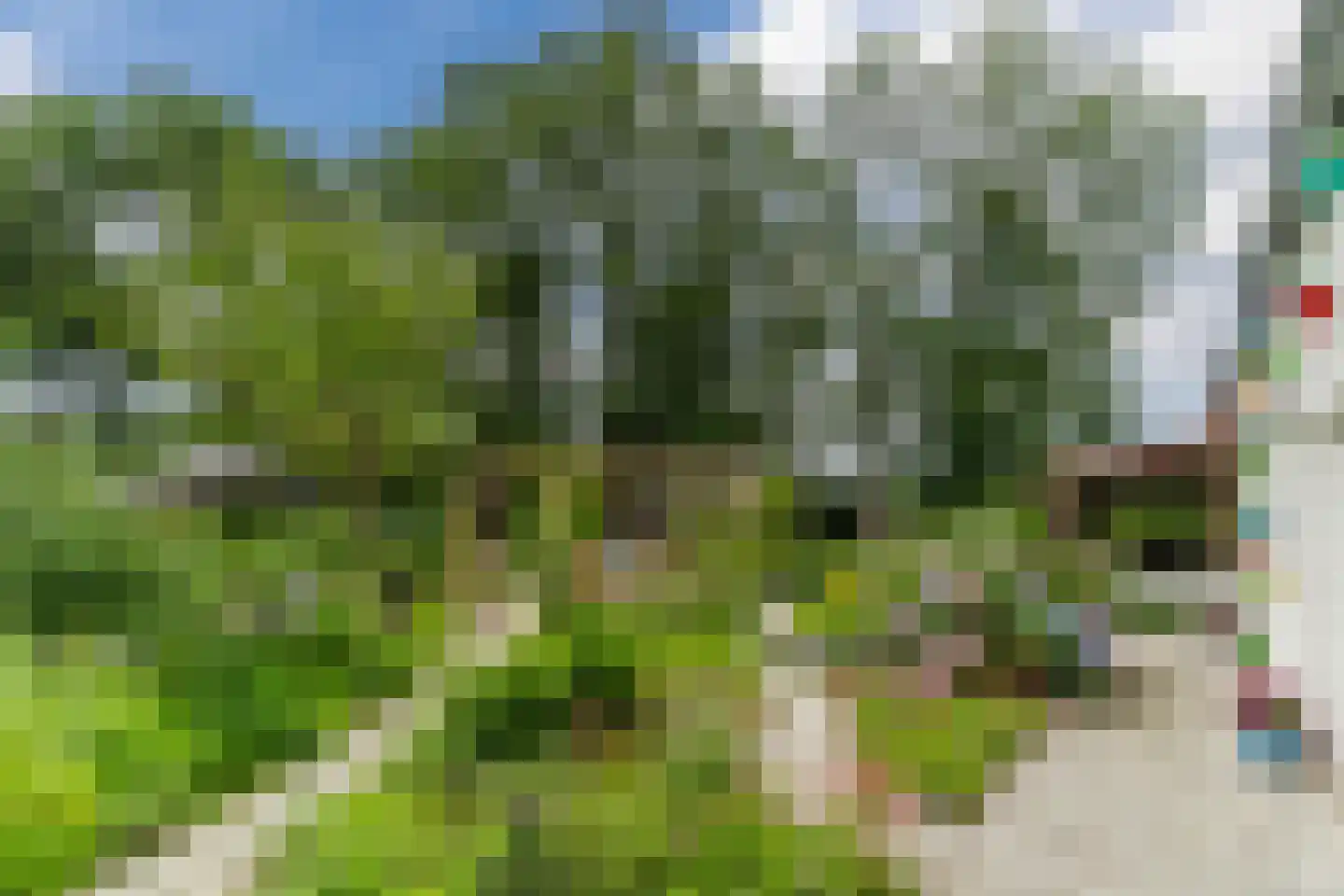 De Bleken 2 b Heeswijk-Dinther thumbnail 42
