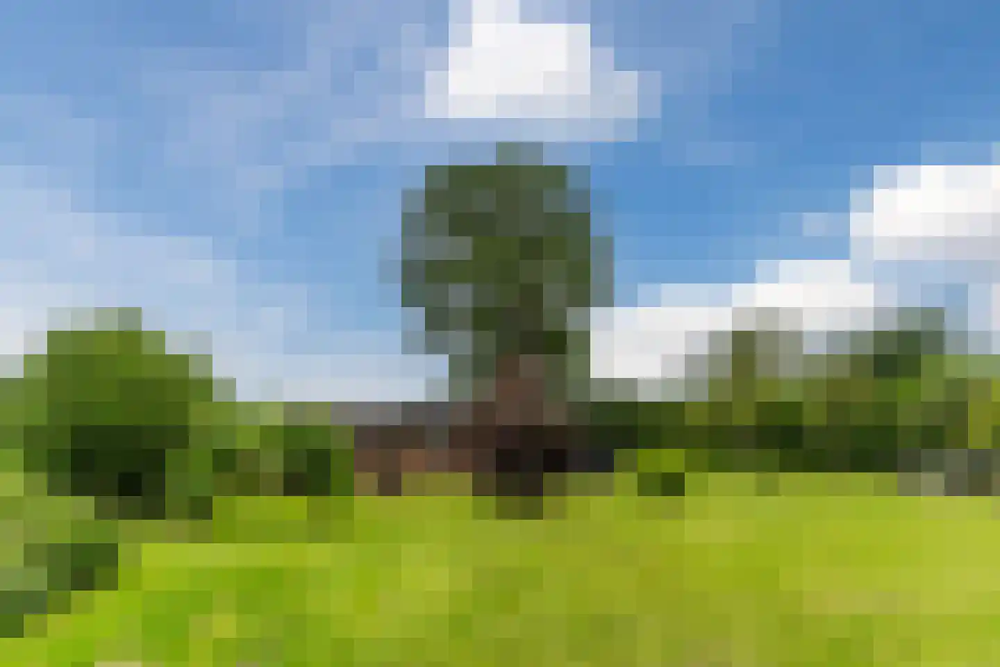 De Bleken 2 b Heeswijk-Dinther thumbnail 44