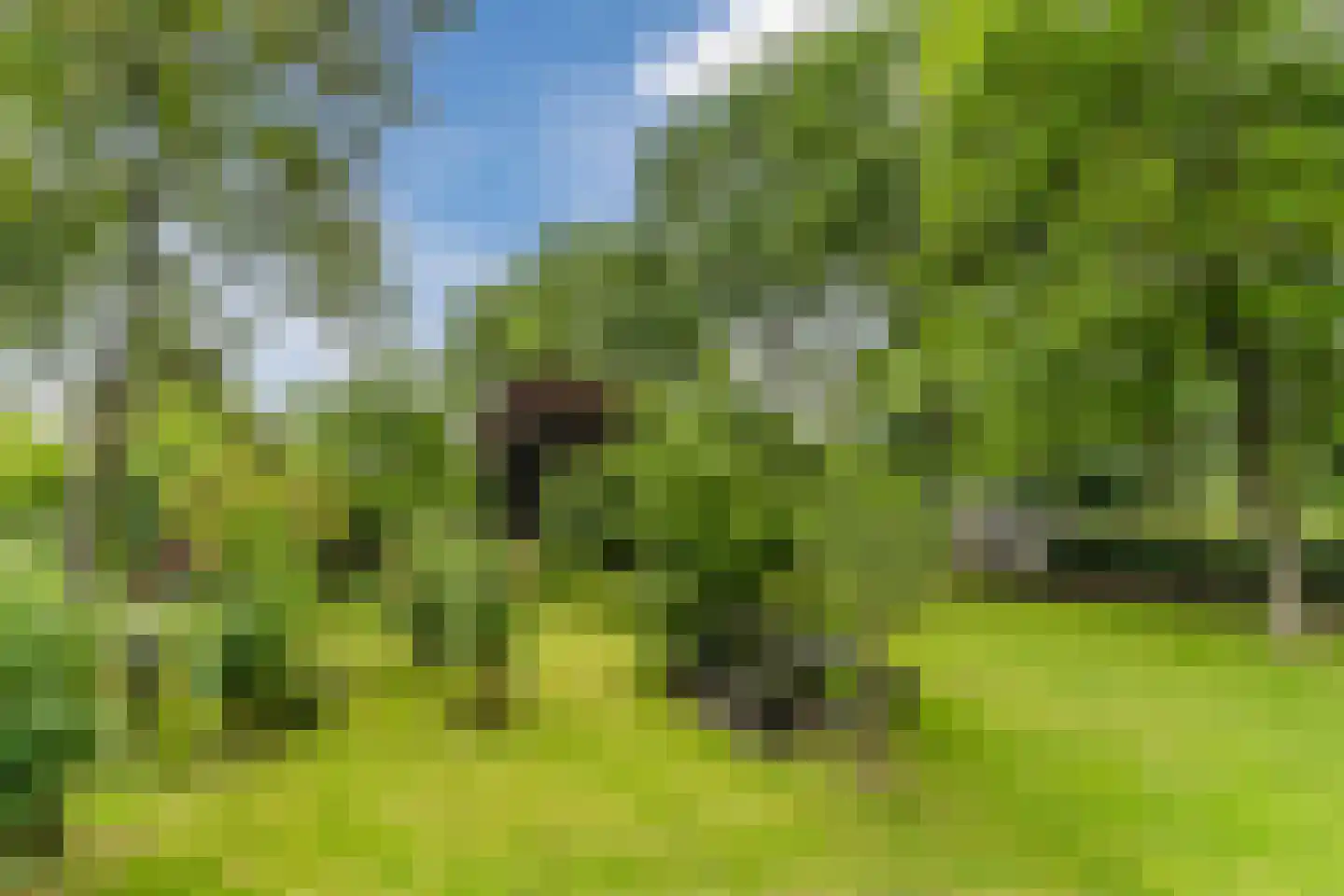 De Bleken 2 b Heeswijk-Dinther thumbnail 49
