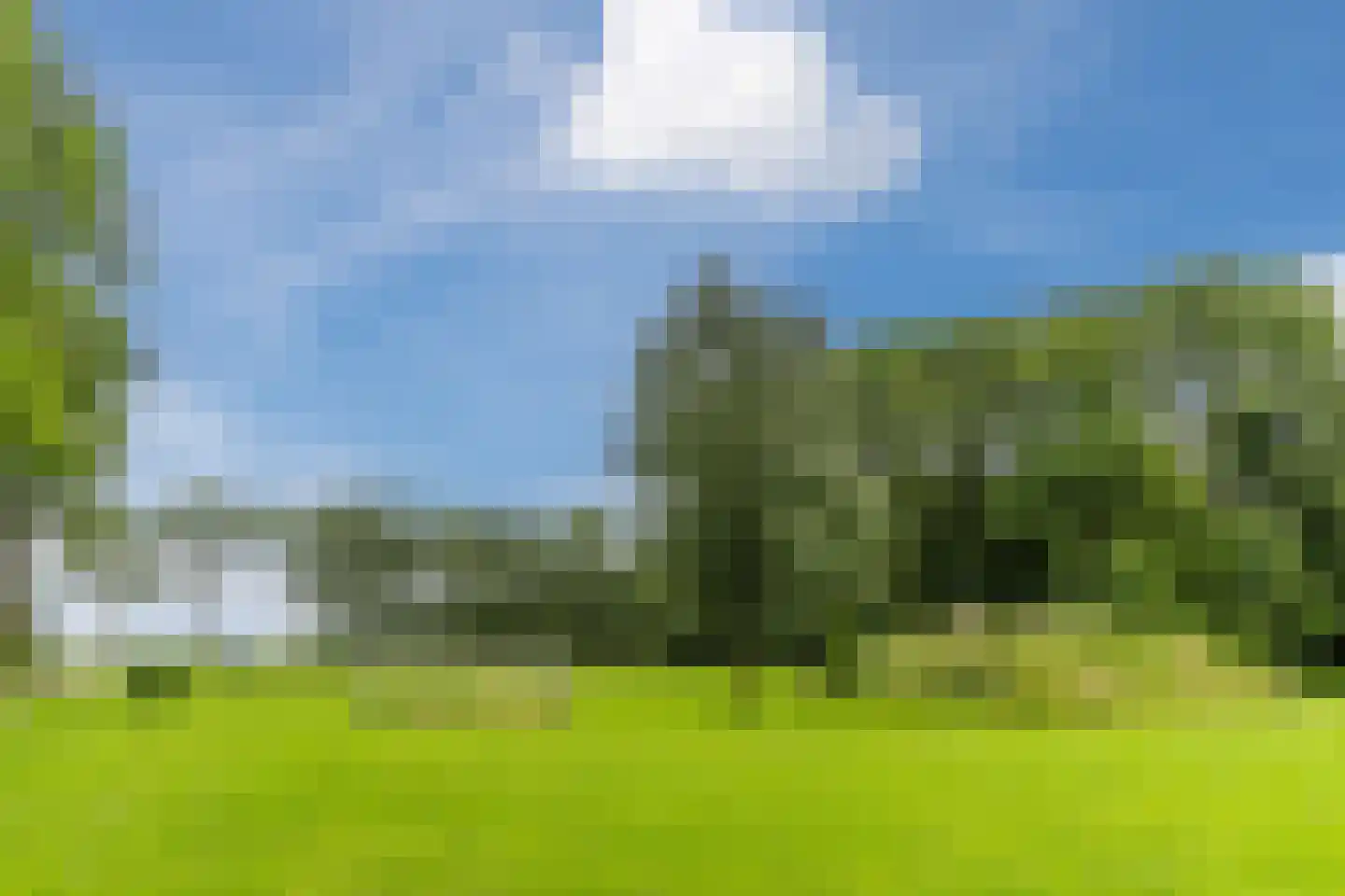 De Bleken 2 b Heeswijk-Dinther thumbnail 53