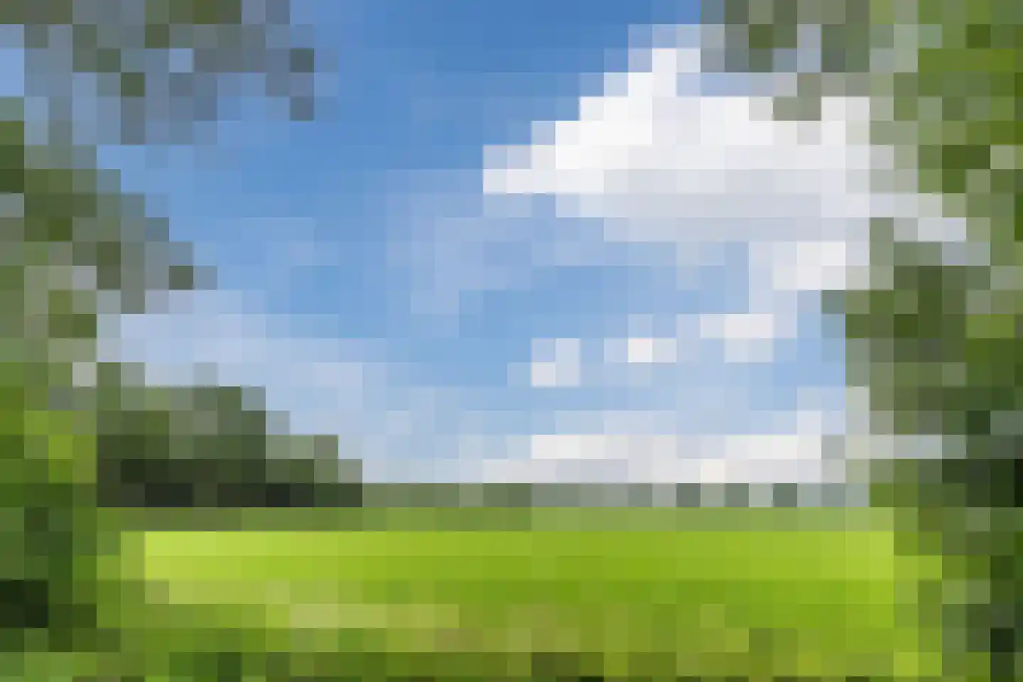 De Bleken 2 b Heeswijk-Dinther thumbnail 54