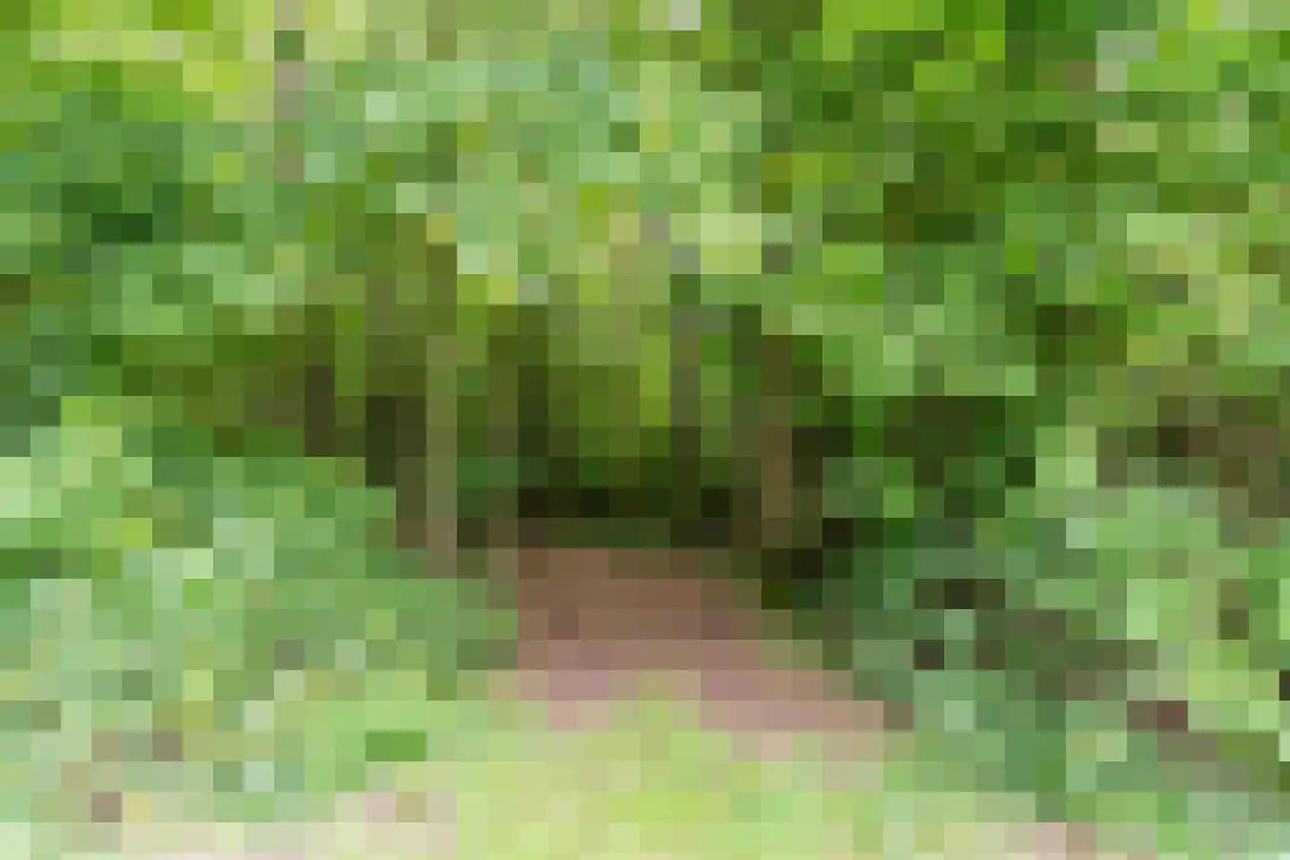 De Bleken 2 b Heeswijk-Dinther thumbnail 55